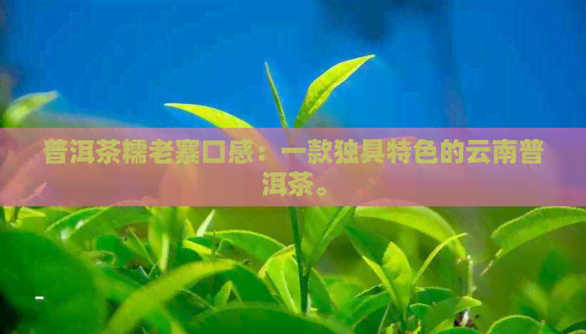 普洱茶糯老寨口感：一款独具特色的云南普洱茶。