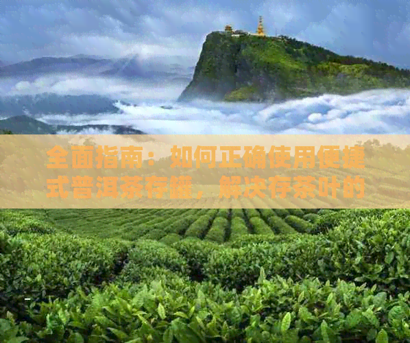 全面指南：如何正确使用便捷式普洱茶存罐，解决存茶叶的困扰