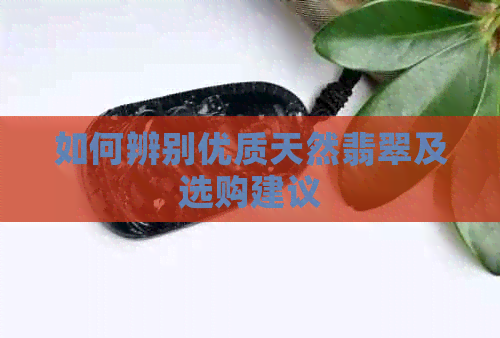 如何辨别优质天然翡翠及选购建议