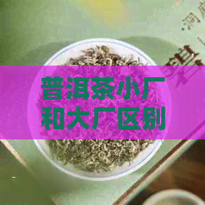 普洱茶小厂和大厂区别：哪个厂的小普洱茶更好？