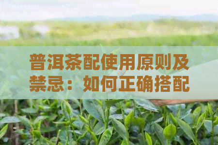 普洱茶配使用原则及禁忌：如何正确搭配饮用普洱茶？