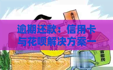 逾期还款：信用卡与花呗解决方案一览，如何规划信用修复步骤