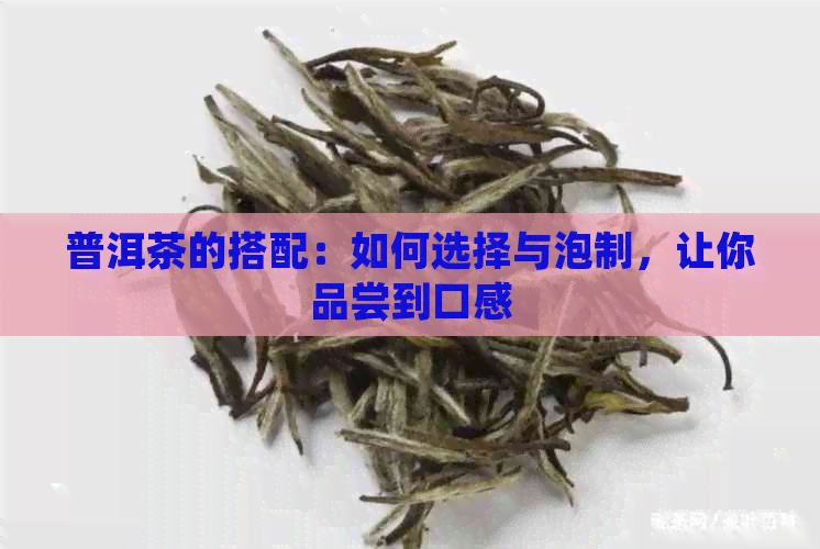 普洱茶的搭配：如何选择与泡制，让你品尝到口感