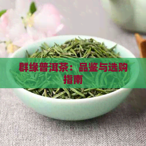 群缘普洱茶：品鉴与选购指南