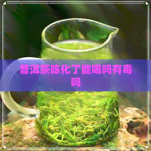 普洱茶陈化了能喝吗有吗