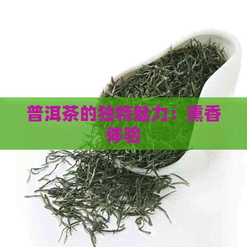 普洱茶的独特魅力：熏香体验