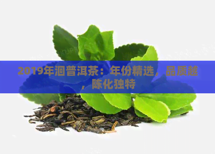 2019年洄普洱茶：年份精选，品质越，陈化独特