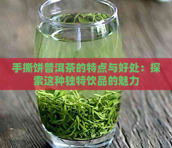 手撕饼普洱茶的特点与好处：探索这种独特饮品的魅力