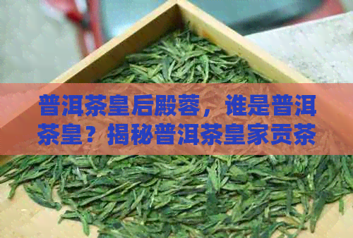 普洱茶皇后殿蓉，谁是普洱茶皇？揭秘普洱茶皇家贡茶园。