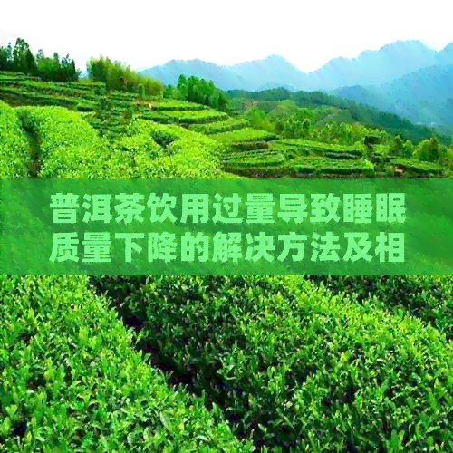 普洱茶饮用过量导致睡眠质量下降的解决方法及相关注意事项