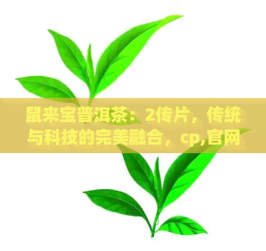 鼠来宝普洱茶：2传片，传统与科技的完美融合，cp,官网，价格揭晓！