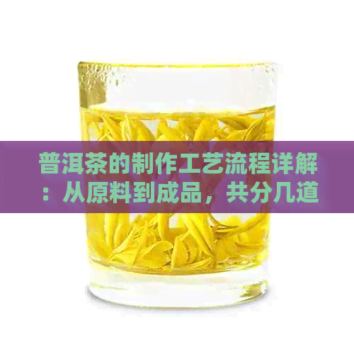 普洱茶的制作工艺流程详解：从原料到成品，共分几道工序？