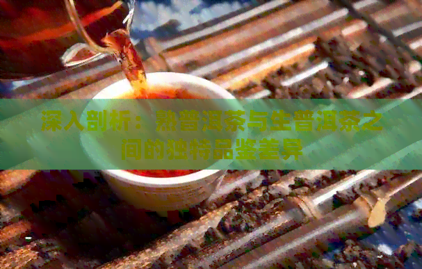 深入剖析：熟普洱茶与生普洱茶之间的独特品鉴差异