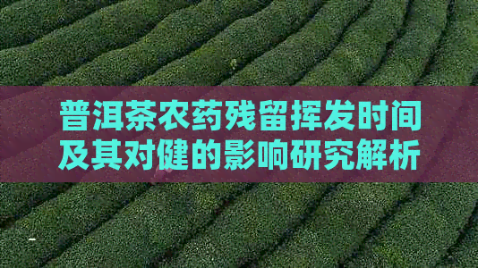 普洱茶农药残留挥发时间及其对健的影响研究解析