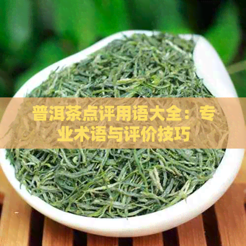 普洱茶点评用语大全：专业术语与评价技巧