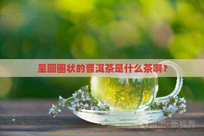 呈圆圈状的普洱茶是什么茶啊？