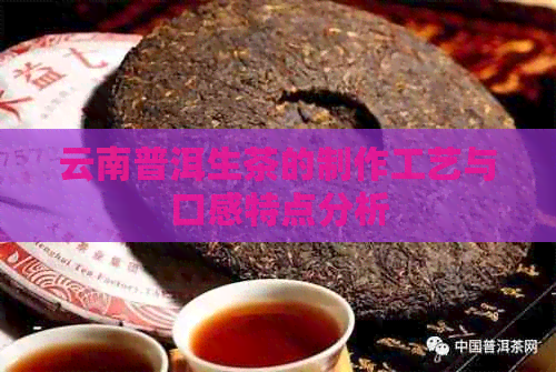 云南普洱生茶的制作工艺与口感特点分析