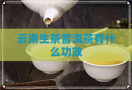 云南生茶普洱茶有什么功效