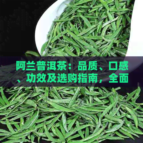 阿兰普洱茶：品质、口感、功效及选购指南，全面了解这款茶叶的优缺点