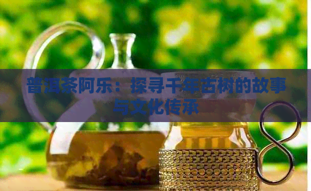 普洱茶阿乐：探寻千年古树的故事与文化传承