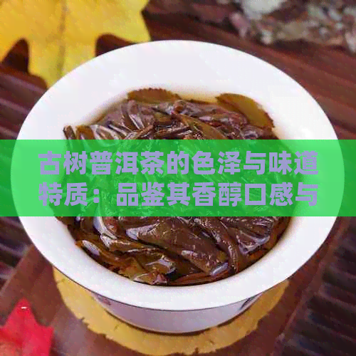 古树普洱茶的色泽与味道特质：品鉴其香醇口感与深厚色泽