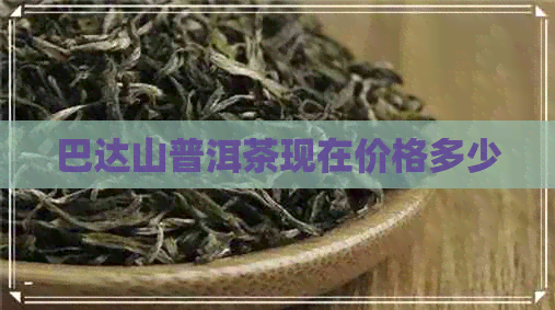 巴达山普洱茶现在价格多少