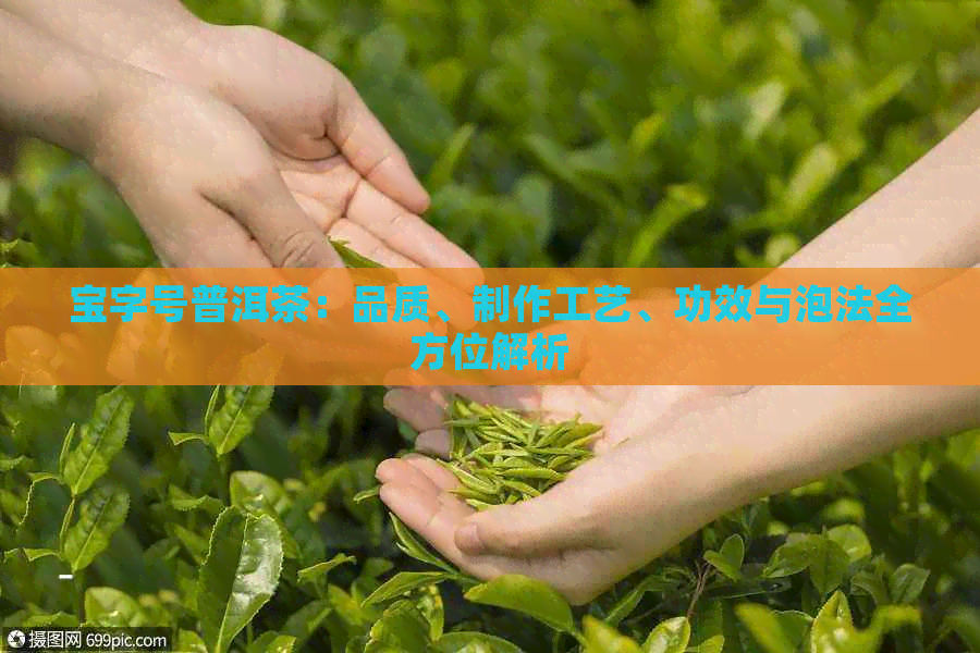 宝字号普洱茶：品质、制作工艺、功效与泡法全方位解析