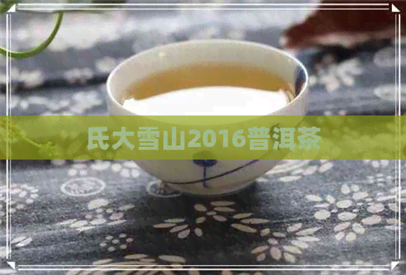 氏大雪山2016普洱茶