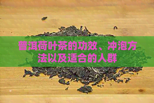 普洱荷叶茶的功效、冲泡方法以及适合的人群