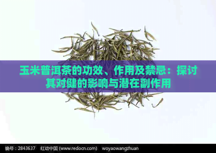 玉米普洱茶的功效、作用及禁忌：探讨其对健的影响与潜在副作用