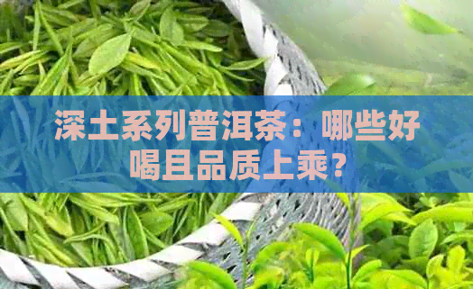 深土系列普洱茶：哪些好喝且品质上乘？