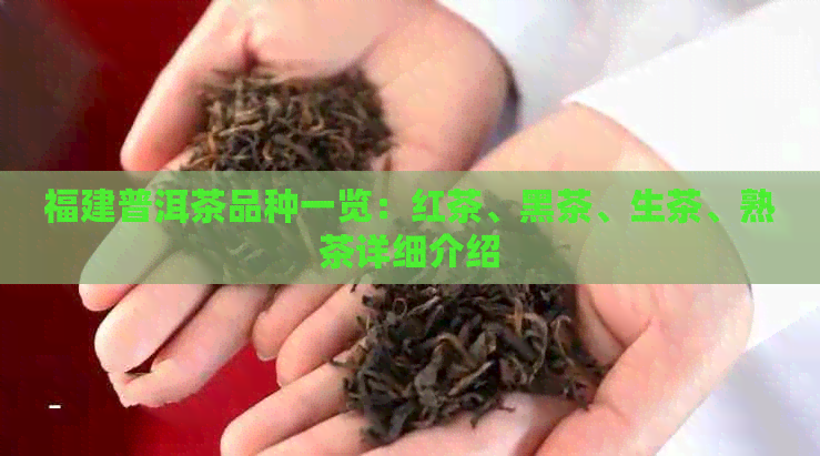 福建普洱茶品种一览：红茶、黑茶、生茶、熟茶详细介绍