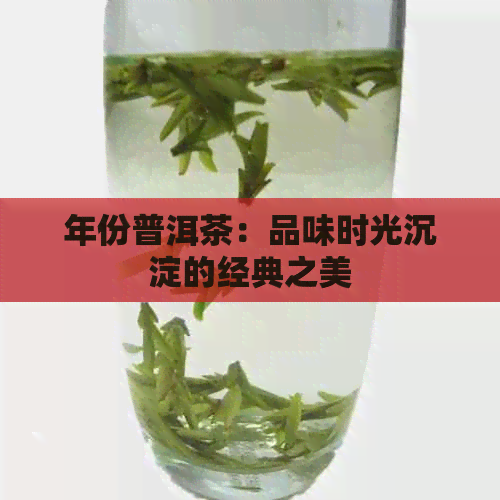 年份普洱茶：品味时光沉淀的经典之美