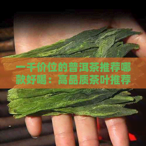 一千价位的普洱茶推荐哪款好喝：高品质茶叶推荐