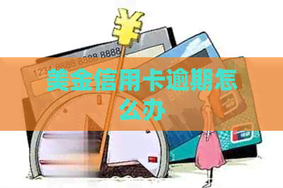 美金信用卡逾期怎么办