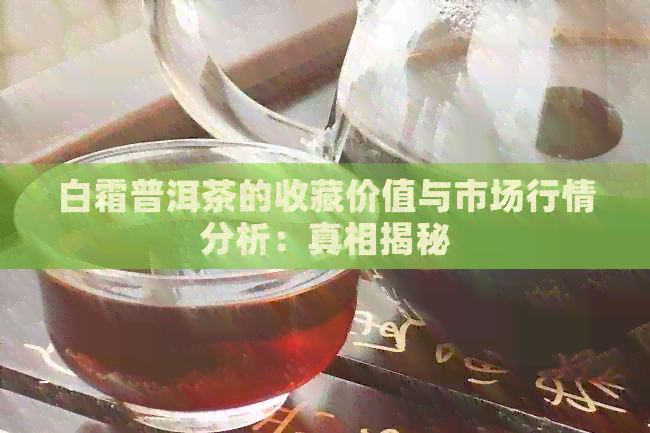 白霜普洱茶的收藏价值与市场行情分析：真相揭秘