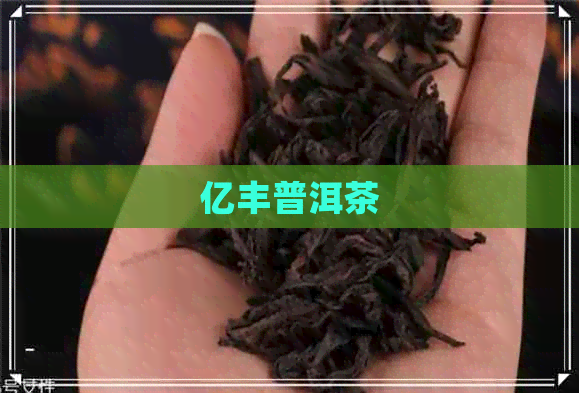 亿丰普洱茶