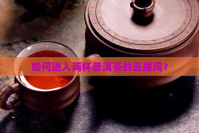 如何进入两杯普洱茶的直播间？