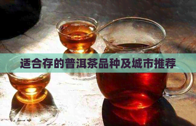 适合存的普洱茶品种及城市推荐