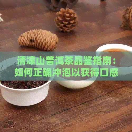 清凉山普洱茶品鉴指南：如何正确冲泡以获得口感？