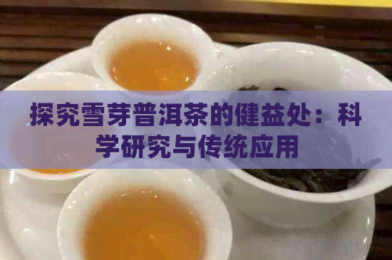 探究雪芽普洱茶的健益处：科学研究与传统应用