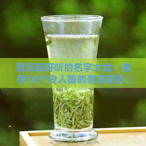 普洱茶好听的名字大全：推荐10个令人醉的普洱茶名！