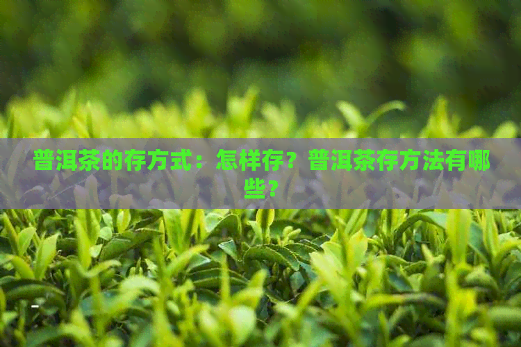 普洱茶的存方式：怎样存？普洱茶存方法有哪些？