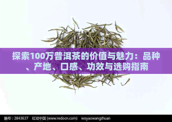 探索100万普洱茶的价值与魅力：品种、产地、口感、功效与选购指南