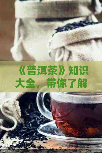 《普洱茶》知识大全，带你了解普洱茶的魅力和制作过程。