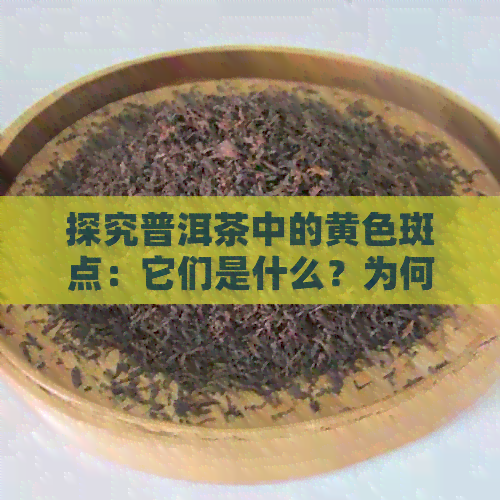 探究普洱茶中的黄色斑点：它们是什么？为何存在？