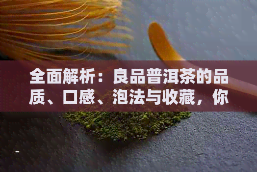 全面解析：良品普洱茶的品质、口感、泡法与收藏，你不可错过的知识！