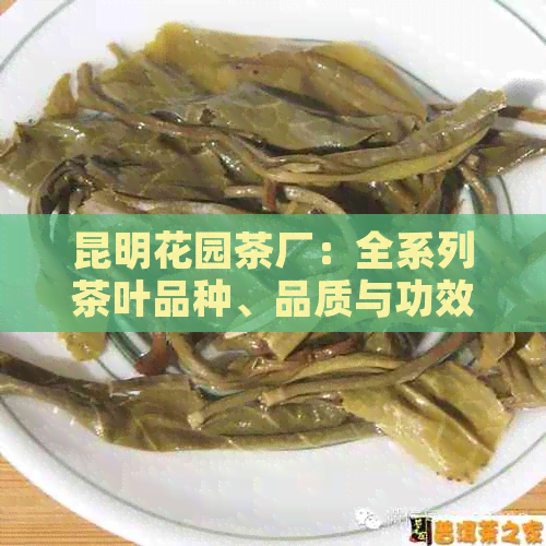 昆明花园茶厂：全系列茶叶品种、品质与功效解析，助您挑选最适合的茶品