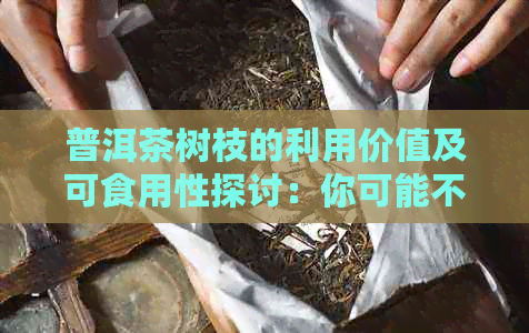 普洱茶树枝的利用价值及可食用性探讨：你可能不知道的新视角