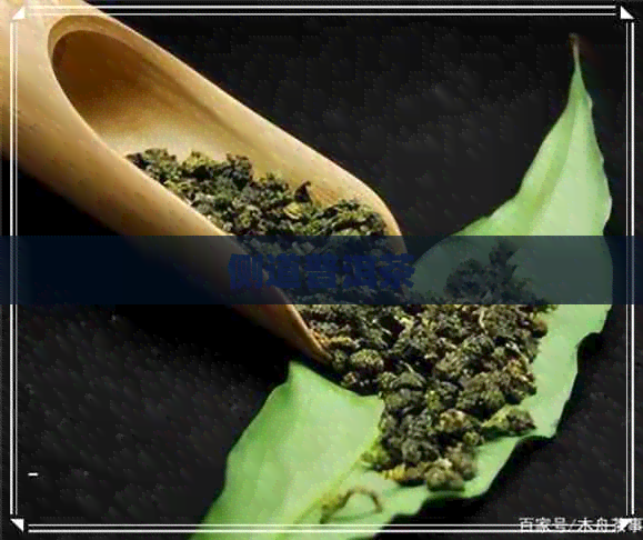 侧道普洱茶